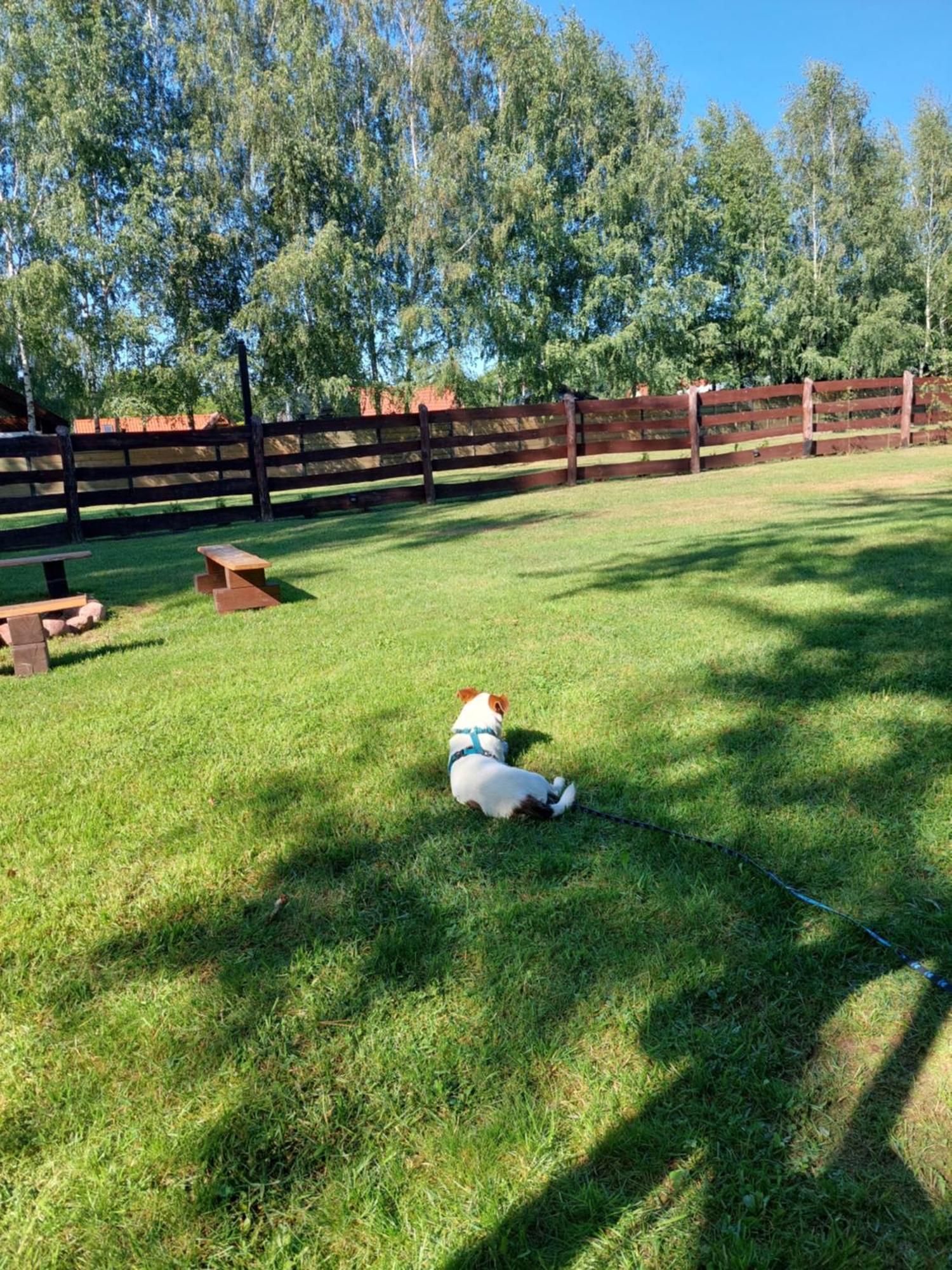 Domek Nad Krutynia Piecki  Exteriér fotografie